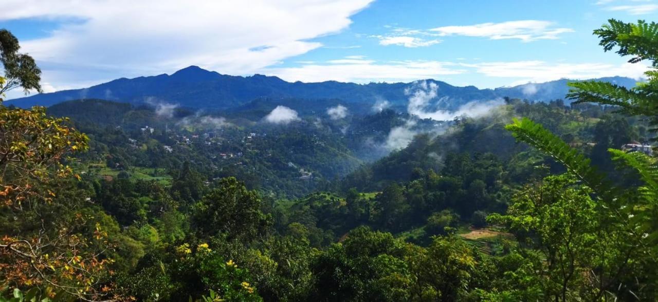 Nice View Guest House & Restaurant เอลลา ภายนอก รูปภาพ