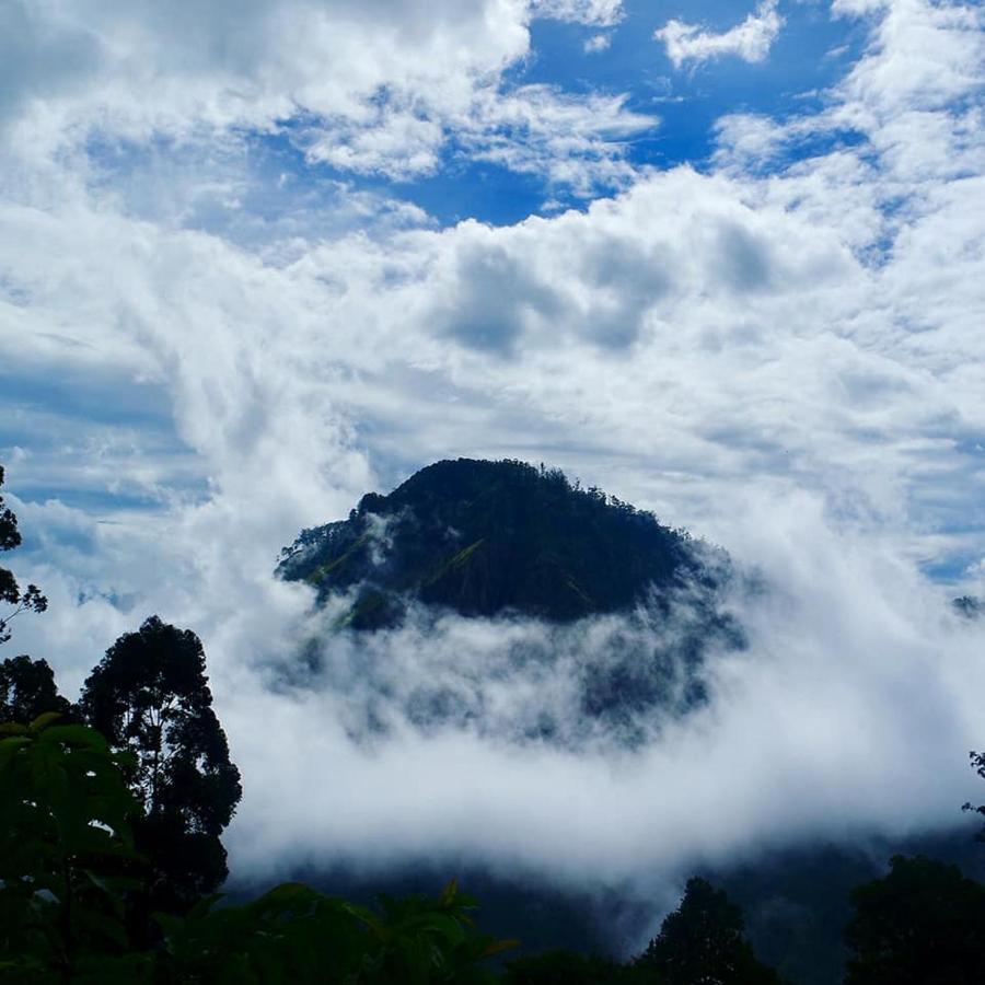 Nice View Guest House & Restaurant เอลลา ภายนอก รูปภาพ