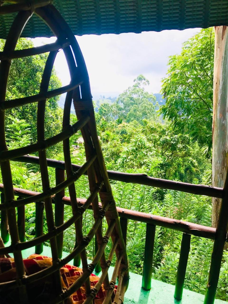 Nice View Guest House & Restaurant เอลลา ภายนอก รูปภาพ
